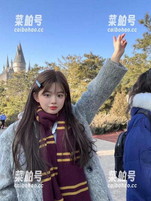 “地址”看起来就好像是个误入奇境的门，51cg等着我去翻牌。