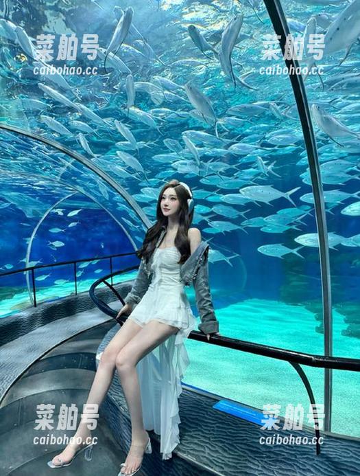 51cg吃瓜网 大家都在找的51cg吃瓜网入口,今天你填坑了吗?
