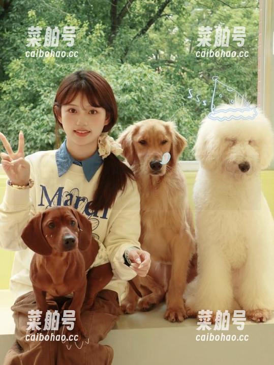 911吃瓜：观看这场狂欢，偶尔也想问，我在哪儿搭了错的车