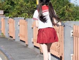 最新猫咪看热闹，快来免费吃瓜日更！