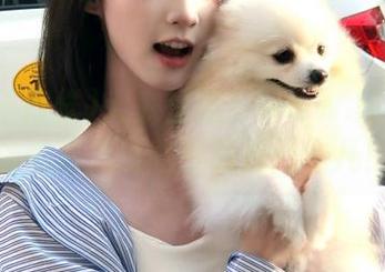 大家注意！www.黑料不打烊的幕后线路今晚热闹非凡！